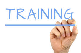 Paprika Training Kent | Travol International Consulting